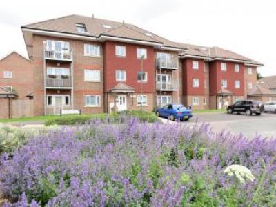 Annonce Location Appartement Walton-on-thames