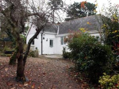 Annonce Location Maison Tavistock