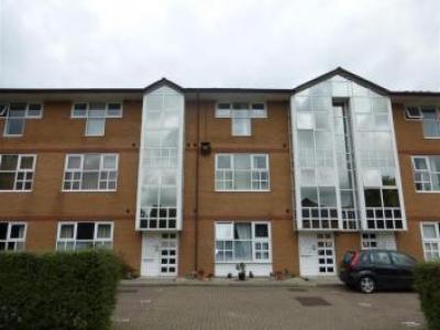 Annonce Location Appartement Yeovil