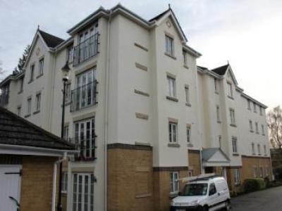 Annonce Location Appartement Woking