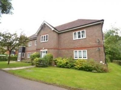 Annonce Location Appartement Tadworth