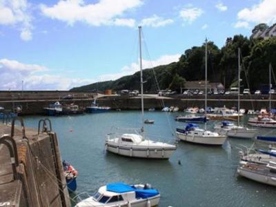 Annonce Location vacances Maison Saundersfoot