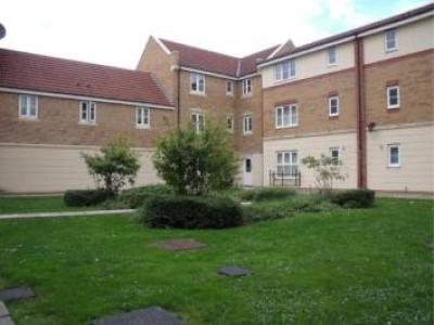 Annonce Location Appartement Bristol