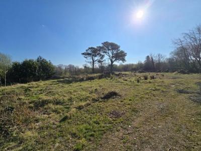 Annonce Vente Terrain Coleraine